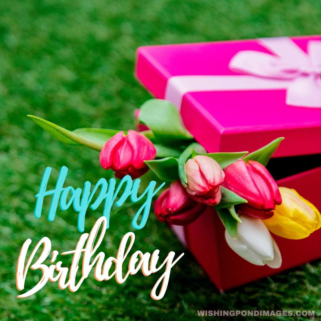 Gift box and tulips on green grass lawn - Happy Birthday Flower Images